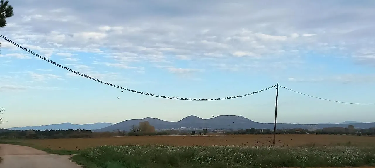 Happy Nest In Pals Village Appartamento